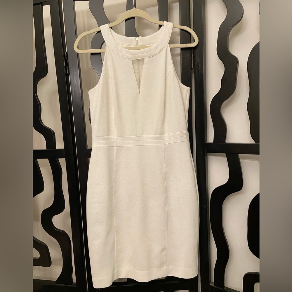WHBM White Organza Sheath Sleeveless Dress, size 8, exposed gold back zipper